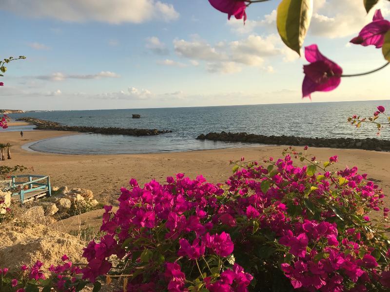 Sikelika Residence Sul Mare Scoglitti Exterior foto